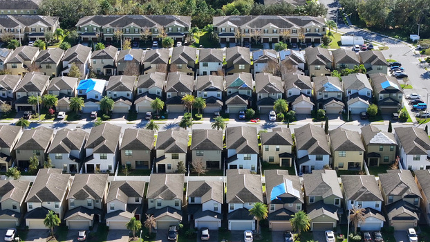 Aerial view of a residential neighborhood with rows of suburban houses palm trees and blue tarps on several roofs in Tampa Florida United States.