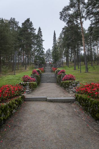 View of a stone staircase lined with vibrant red flowers and mossy stone walls leading up through a pine forest in Jyvaskyla Central Finland Finland.