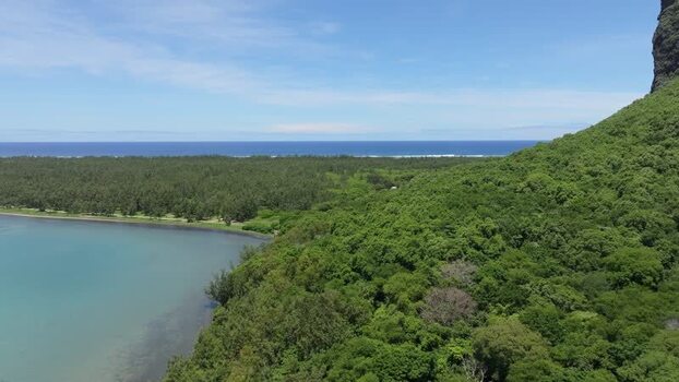 Aerial view of Le Morne Brabant mountain in Mauritius.