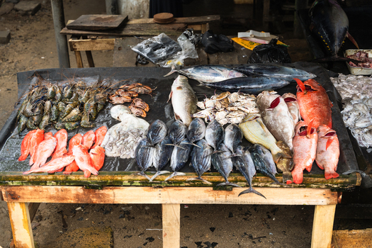 View of fresh seafood including tuna red snapper and prawns displayed on a wooden table at a local market in Galle Southern Province Sri Lanka. View of fresh seafood including tuna red snapper and prawns displayed on a wooden table at a local market in Galle Southern Province Sri Lanka.