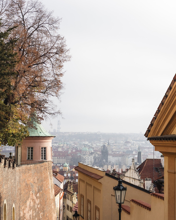 View of the historic rooftops and skyline with autumn trees and a small pink tower in Prague Prague Czechia. View of the historic rooftops and skyline with autumn trees and a small pink tower in Prague Prague Czechia.