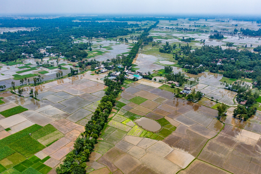 Aerial view of flooded rice paddies and agricultural fields with scattered trees and small rural settlements in the countryside of Bogura Rajshahi Division Bangladesh. Aerial view of flooded rice paddies and agricultural fields with scattered trees and small rural settlements in the countryside of Bogura Rajshahi Division Bangladesh.