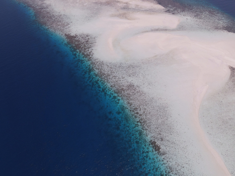Aerial view of Pasir Timbul Mansuar a white sandbar surrounded by turquoise shallow waters and deep blue ocean in Raja Ampat Papua Barat Indonesia. Aerial view of Pasir Timbul Mansuar a white sandbar surrounded by turquoise shallow waters and deep blue ocean in Raja Ampat Papua Barat Indonesia.