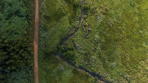 Aerial view of lush green landscape with a winding stream and a dirt road cutting through dense vegetation Garden Route District Municipality Western Cape South Africa.