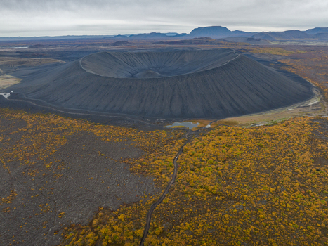 Aerial view of the stark black volcanic crater contrasting with the vibrant yellow foliage under a grey sky Myvatn &THORN;ingeyjarsveit Iceland.