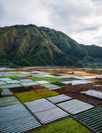 Aerial view of the agricultural basin of Sembalun with vibrant terraced fields and plastic covered plots at the foothills of Mount Rinjani Sembalun West Nusa Tenggara Indonesia. Aerial view of the agricultural basin of Sembalun with vibrant terraced fields and plastic covered plots at the foothills of Mount Rinjani Sembalun West Nusa Tenggara Indonesia.