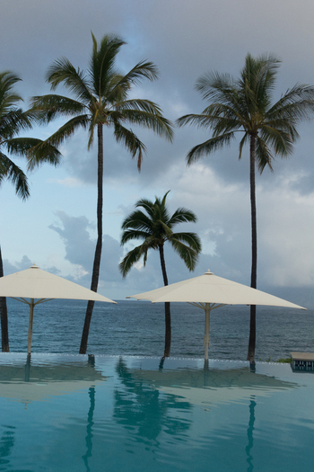 View of an infinity pool with palm trees and beach umbrellas overlooking the ocean in Maui County Hawaii United States.