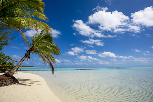 View of One Foot Island in Aitutaki with a leaning palm tree on a white sand beach overlooking the turquoise lagoon in Arutanga Cook Islands. View of One Foot Island in Aitutaki with a leaning palm tree on a white sand beach overlooking the turquoise lagoon in Arutanga Cook Islands.