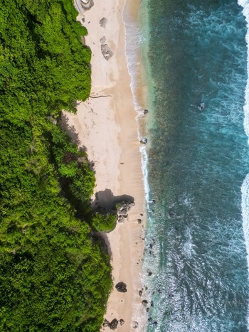 Aerial view of Pantai Nunggalan with lush green forest bordering the sandy beach and turquoise ocean waves crashing on the shore in Kecamatan Kuta Selatan Bali Indonesia.