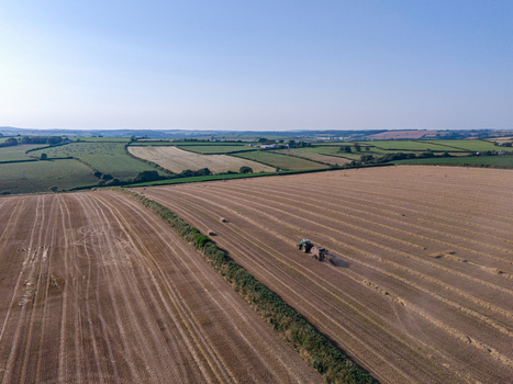 Aerial view of a tractor harvesting crops in a large field surrounded by hedgerows and agricultural farmland in Looe Cornwall United Kingdom. Aerial view of a tractor harvesting crops in a large field surrounded by hedgerows and agricultural farmland in Looe Cornwall United Kingdom.