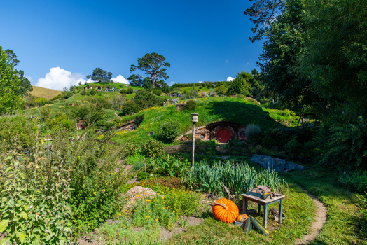 View of verdant Hobbit holes nestled into rolling green hills under a bright blue sky a pumpkin in the foreground Hobbiton Movie Set Waikato Region New Zealand. View of verdant Hobbit holes nestled into rolling green hills under a bright blue sky a pumpkin in the foreground Hobbiton Movie Set Waikato Region New Zealand.