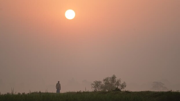View of a man in a rural field at sunrise Bangladesh.