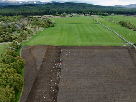 Aerial view of a tractor plowing a field followed by a flock of birds near lush green pastures and forests in Inveruglass Scotland United Kingdom.