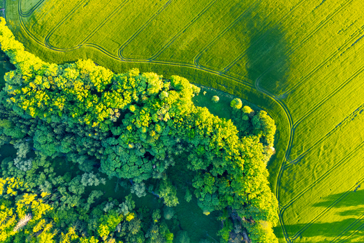 Aerial view of the lush green fields and dense forest canopy of the Bohemian Paradise rural landscape in Czechia.