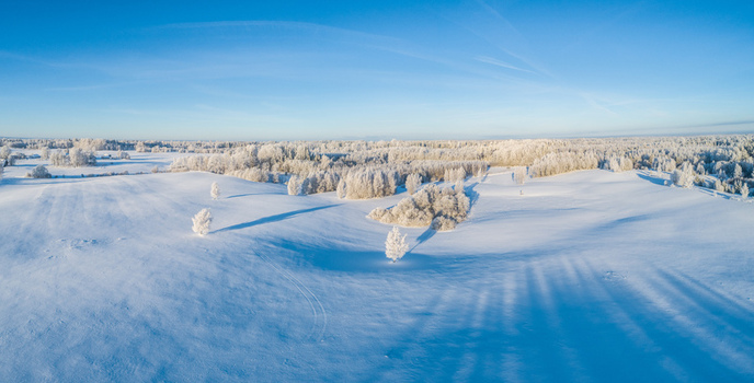 Aerial view of a vast snow covered landscape in Latvia featuring frost covered trees long shadows cast across the pristine white ground and a clear blue sky Latvia. Aerial view of a vast snow covered landscape in Latvia featuring frost covered trees long shadows cast across the pristine white ground and a clear blue sky Latvia.