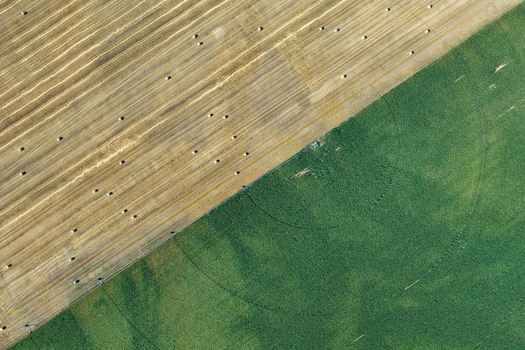 Aerial view of agricultural fields with harvested wheat stubble and round hay bales next to a lush green crop field in Hombourg Grand Est France. Aerial view of agricultural fields with harvested wheat stubble and round hay bales next to a lush green crop field in Hombourg Grand Est France.