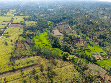 Aerial view of lush green rice terraces and agricultural fields surrounded by tropical trees and rural landscape in Ngajum East Java Indonesia. Aerial view of lush green rice terraces and agricultural fields surrounded by tropical trees and rural landscape in Ngajum East Java Indonesia.