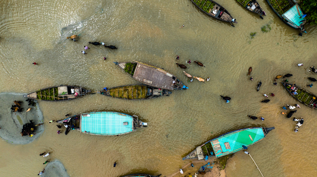 Aerial view of Baish Mowza Sarak Bazar showing traditional wooden boats navigating through flooded waters with cattle and people in Nabinagar Chittagong Division Bangladesh. Aerial view of Baish Mowza Sarak Bazar showing traditional wooden boats navigating through flooded waters with cattle and people in Nabinagar Chittagong Division Bangladesh.