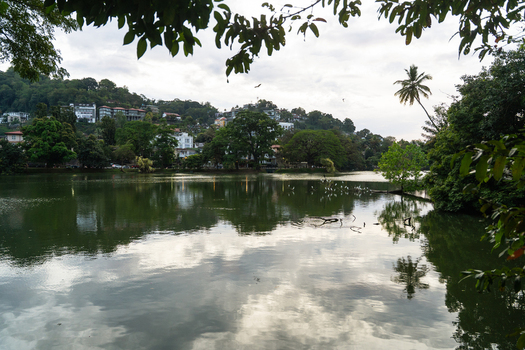 View of Kandy Lake with calm water reflections and lush green trees on the hillside in Kandy Central Province Sri Lanka. View of Kandy Lake with calm water reflections and lush green trees on the hillside in Kandy Central Province Sri Lanka.