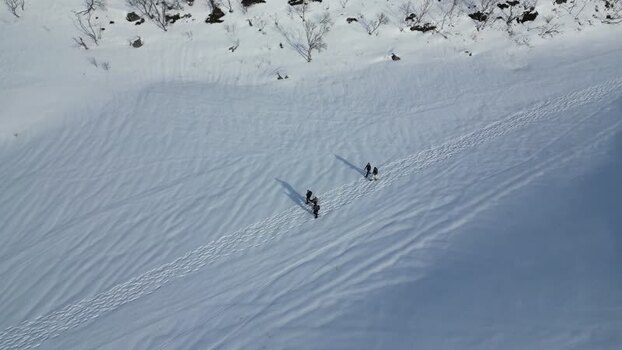 Aerial view of people walking on a snowy slope in Kvaloya Norway.