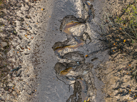 Aerial view of a winding stream bed with dark mud rocky formations and sparse vegetation in Latvia.