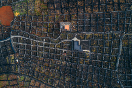 Aerial view of unique volcanic stone wall vineyards and small rural houses on Terceira Island Biscoitos Azores Portugal. Aerial view of unique volcanic stone wall vineyards and small rural houses on Terceira Island Biscoitos Azores Portugal.