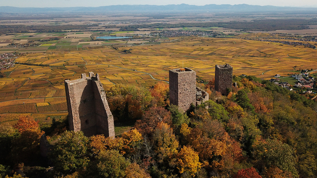 Aerial view of the historic Trois Chateaux d Eguisheim ruins surrounded by vibrant autumn foliage overlooking vast golden vineyards in Eguisheim Grand Est France.