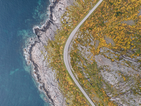 Aerial view of a winding road along the rocky coastline of Lofoten with autumn foliage and deep blue sea in Svolvaer Nordland Norway.