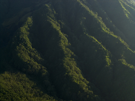 Aerial view of the lush tropical forest and deep volcanic ridges on the slopes of Mount Merapi in Kecamatan Pakem Daerah Istimewa Yogya Indonesia. Aerial view of the lush tropical forest and deep volcanic ridges on the slopes of Mount Merapi in Kecamatan Pakem Daerah Istimewa Yogya Indonesia.