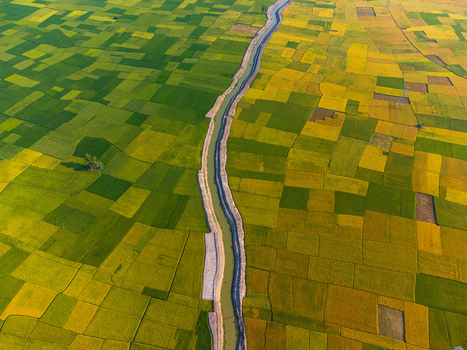 Aerial view of a meandering river cutting through a vibrant tapestry of green and yellow patchwork fields Joypurhat Rajshahi Division Bangladesh. Aerial view of a meandering river cutting through a vibrant tapestry of green and yellow patchwork fields Joypurhat Rajshahi Division Bangladesh.