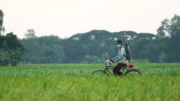 View of a man riding a bicycle with a sprayer in a field Bangladesh. View of a man riding a bicycle with a sprayer in a field Bangladesh.