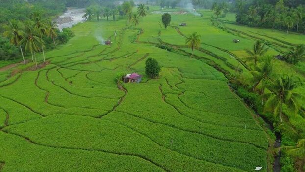 Aerial view of Taba Tembilang rice terraces in Indonesia. Aerial view of Taba Tembilang rice terraces in Indonesia.
