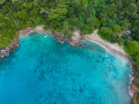 Aerial view of turquoise waters gently lapping against a secluded beach framed by lush green forest Vista do Mar Mahe Island Seychelles. Aerial view of turquoise waters gently lapping against a secluded beach framed by lush green forest Vista do Mar Mahe Island Seychelles.