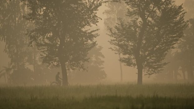 View of a person cycling through misty trees in Bangladesh. View of a person cycling through misty trees in Bangladesh.