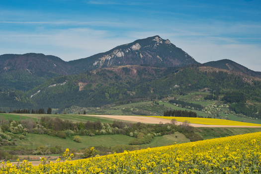 Aerial view of Velky Choc mountain rising above vibrant yellow rapeseed fields and green rolling hills in the countryside Vysny Kubin Zilina Region Slovakia.
