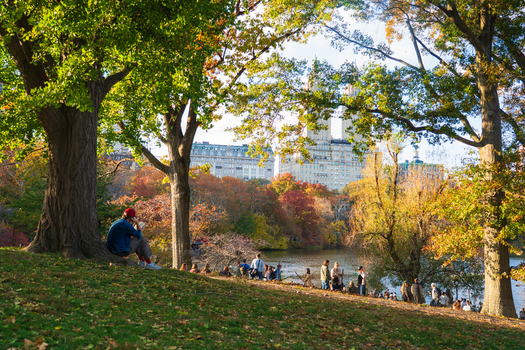 Manhattan United States 08 November 2025 View of a tranquil Central Park scene where autumn s fiery hues meet the city s skyline in a symphony of nature and architecture. Manhattan United States 08 November 2025 View of a tranquil Central Park scene where autumn s fiery hues meet the city s skyline in a symphony of nature and architecture.