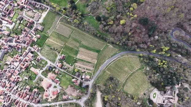 Aerial view of vineyards and winding road France.
