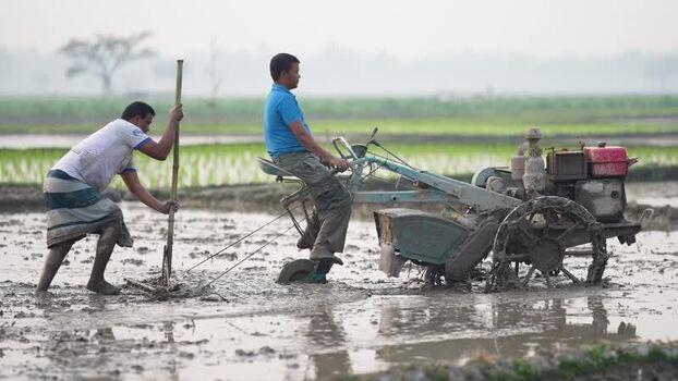 View of farmers using a power tiller in a muddy field Bangladesh. View of farmers using a power tiller in a muddy field Bangladesh.
