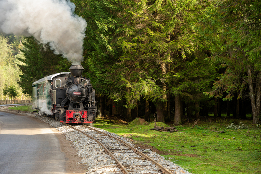 View of the Mocanita Moldovita steam train traveling through a dense forest with thick smoke billowing from the engine in Moldovita Suceava County Romania. View of the Mocanita Moldovita steam train traveling through a dense forest with thick smoke billowing from the engine in Moldovita Suceava County Romania.