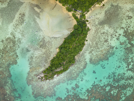 Aerial view of a vibrant island with dense green forests surrounded by turquoise waters and intricate coral reefs Annora beach Karimunjawa Jawa Tengah Indonesia.