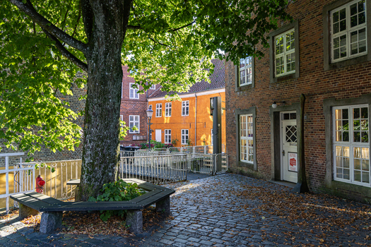 View of a cobblestone courtyard with a large tree and circular bench surrounded by historic brick houses and an orange building under bright sunlight in Ribe Denmark. View of a cobblestone courtyard with a large tree and circular bench surrounded by historic brick houses and an orange building under bright sunlight in Ribe Denmark.