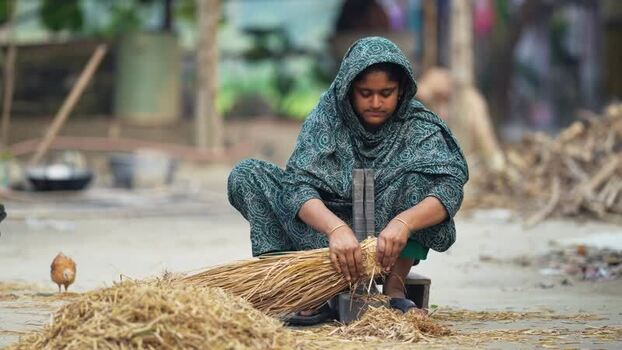 View of a woman processing straw in a rural village Bangladesh. View of a woman processing straw in a rural village Bangladesh.