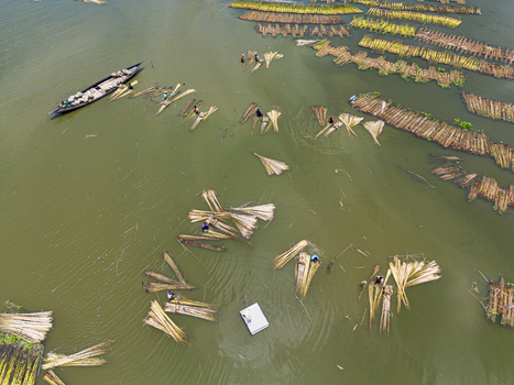 Natore Bangladesh 25 July 2026 Aerial view of farmers processing jute stalks in the water with bundles of fiber a small wooden boat and calm river surface in Rajshahi Division.
