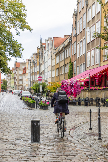 Gdansk Poland 05 September 2026 View of a cyclist riding along a historic cobblestone street lined with colorful buildings and a cafe with vibrant pink floral decorations. Gdansk Poland 05 September 2026 View of a cyclist riding along a historic cobblestone street lined with colorful buildings and a cafe with vibrant pink floral decorations.