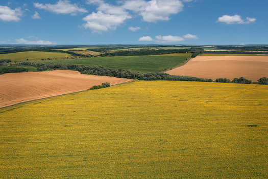 Aerial view of the vibrant patchwork of golden yellow earthy brown and verdant green fields stretching to the horizon under a bright airy sky Chyhyrynskyi district Cherkasy Oblast Ukraine. Aerial view of the vibrant patchwork of golden yellow earthy brown and verdant green fields stretching to the horizon under a bright airy sky Chyhyrynskyi district Cherkasy Oblast Ukraine.