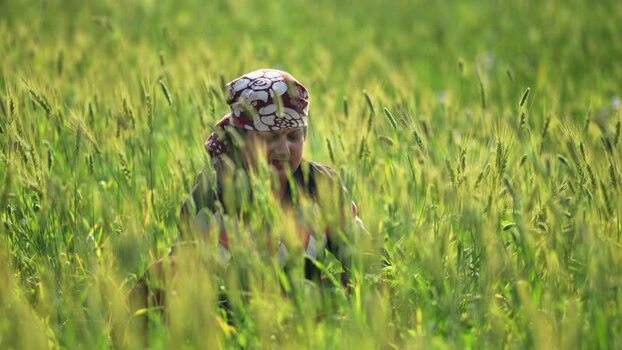 View of a woman working in a green field Nepal.