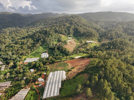 Aerial view of greenhouses nestled among the lush green mountains and forests of Jarabacoa La Vega Province Dominican Republic.