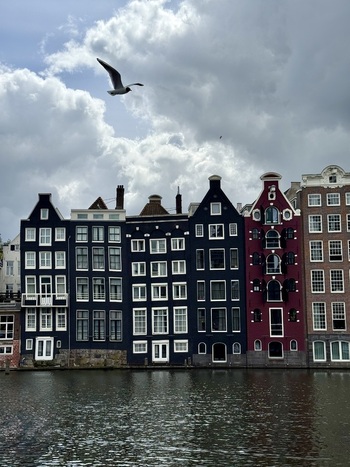 View of traditional canal houses with colorful facades and gabled roofs under a cloudy sky with a seagull flying above the water in Amsterdam Netherlands. View of traditional canal houses with colorful facades and gabled roofs under a cloudy sky with a seagull flying above the water in Amsterdam Netherlands.