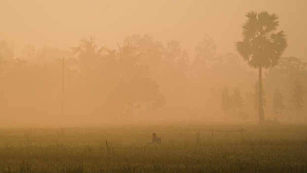 View of a person in a misty field at sunrise Bangladesh. View of a person in a misty field at sunrise Bangladesh.