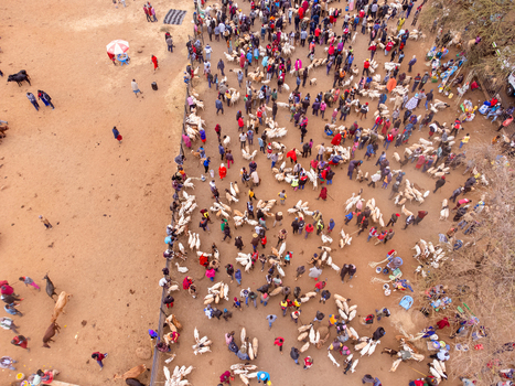 Aerial view of Kimana Animal Market with many people and livestock gathered in a dusty open air space in Kimana Kajiado County Kenya.